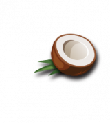 Coconut