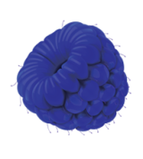blue-raspberry