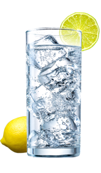 Lemon Lime hipster seltzer